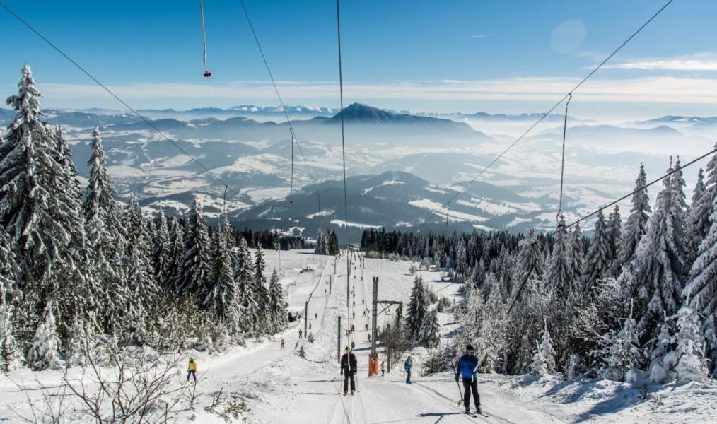 Ubytovanie Pod Skalkou 道尼库宾 外观 照片